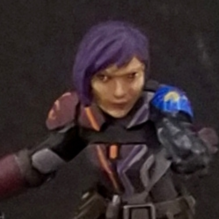 Sabine wren