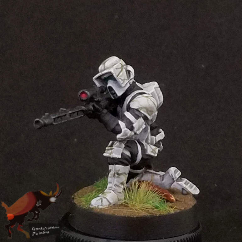 Scout troopers