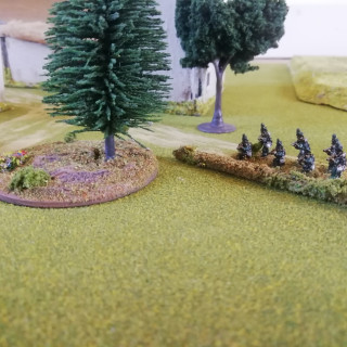 Dip hedges