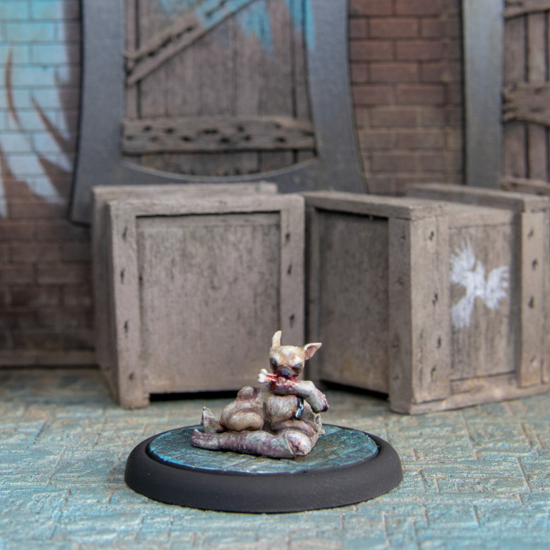 Zombie Chihuahua Front