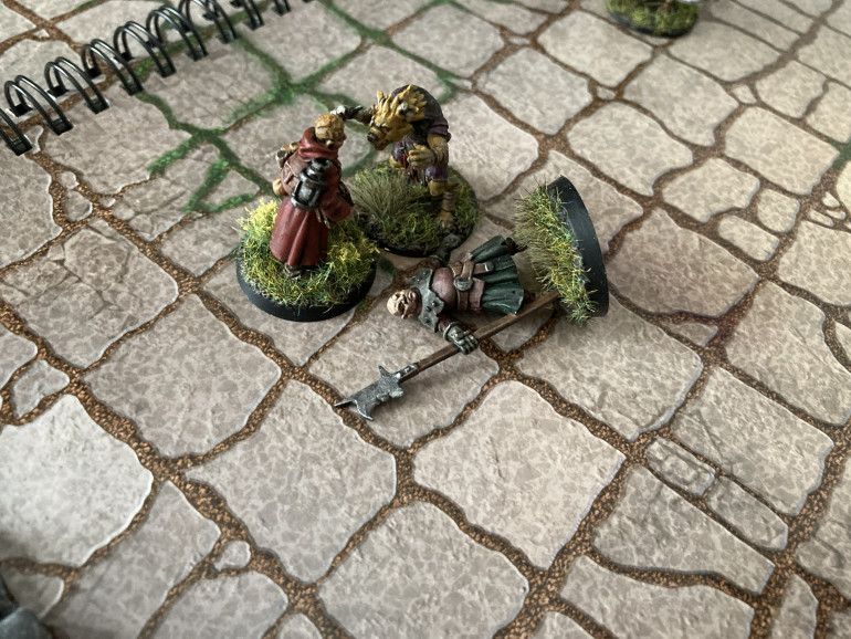 Halleck the guardsman and Trysten raced forward to the nearest gnoll. This gnoll dodged to one side avoiding Trysten’s staff and lashed out at Halleck. He went down unconscious. Trotter circled around but couldn’t hit anything with his bow.