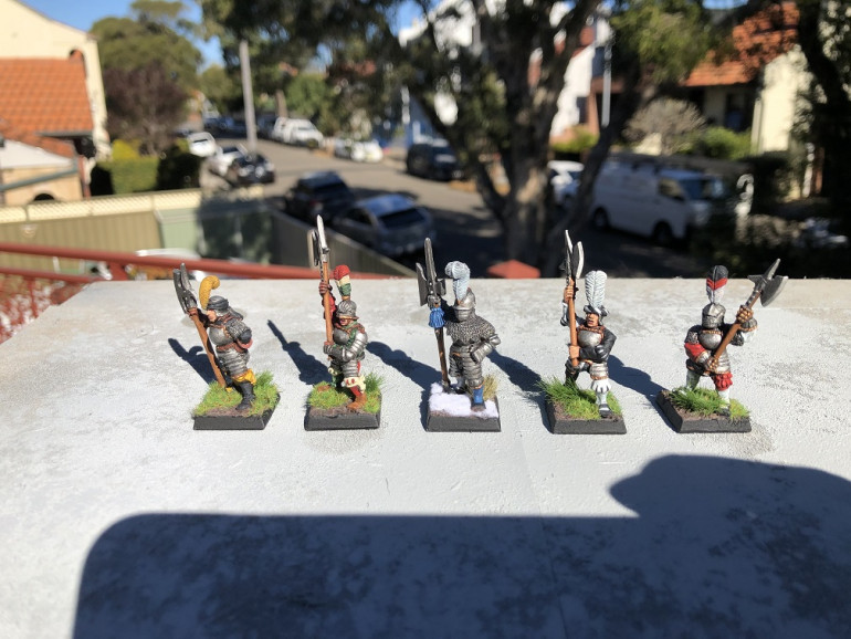 So it seems I missed a photo of the Halberdiers and if there's no photo, there's no proof. Aparently. The Middenheimer is now the champion of my existing Middennheimer halberdiers which have snow bases (hence the differing base). Well spotted ...... Mr Smarty-pants