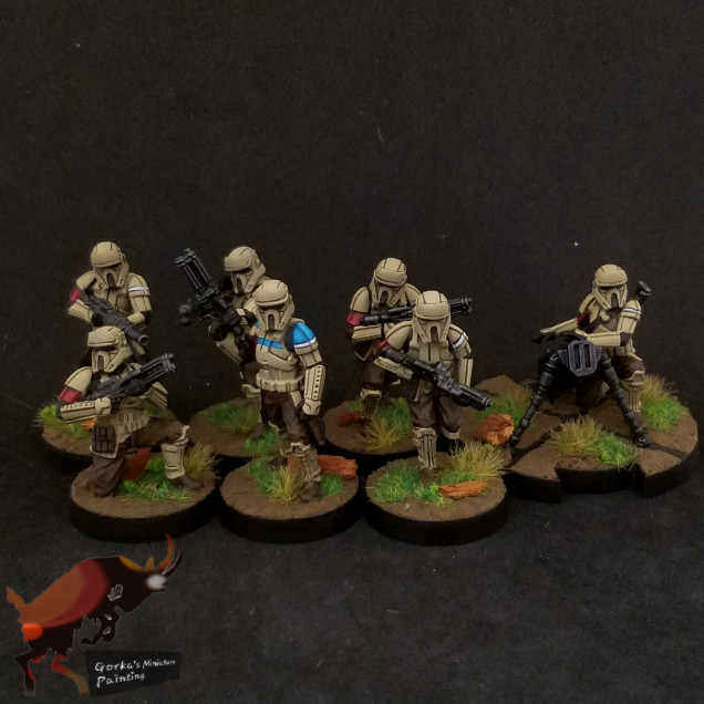 Another shoretrooper squad