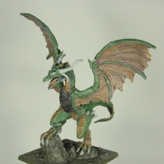 Week 14 Work in Progress Green Adult Drakon