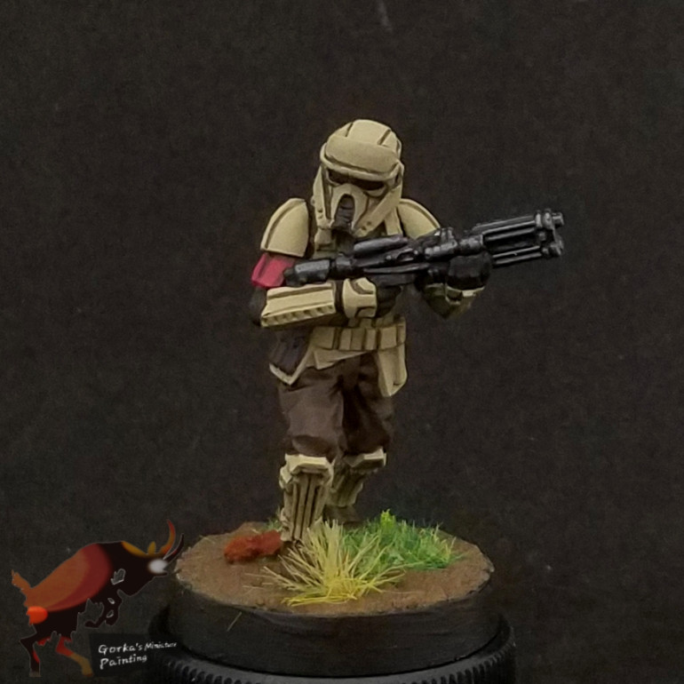 Another shoretrooper squad