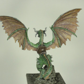 Week 14 Work in Progress Green Adult Drakon