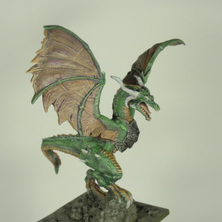 Week 14 Work in Progress Green Adult Drakon