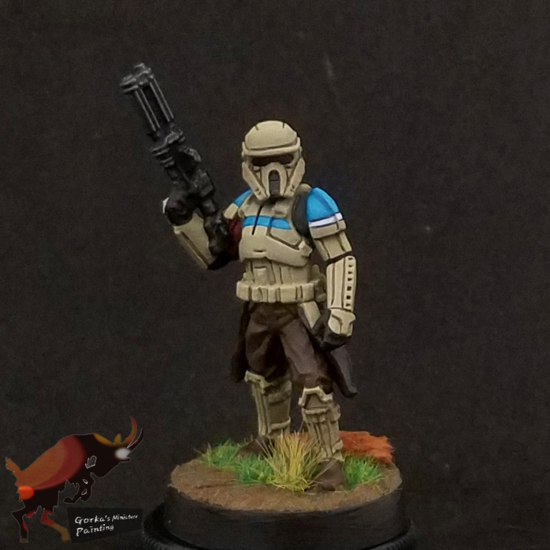 Another shoretrooper squad