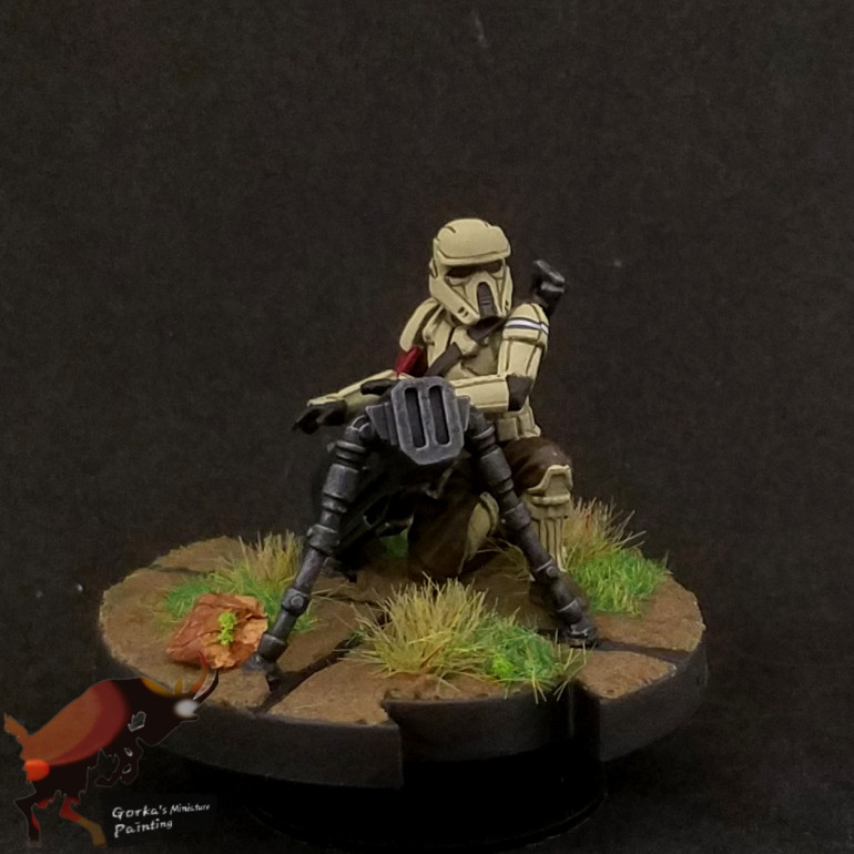 Another shoretrooper squad