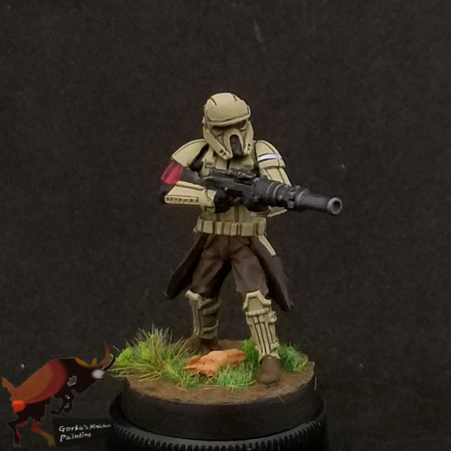 Another shoretrooper squad