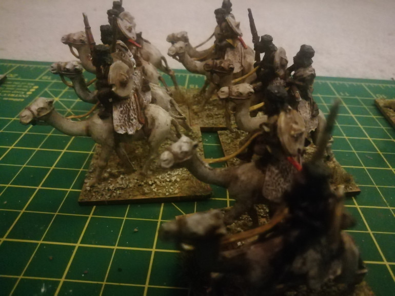 I realized I have 24 camel mounted tribesmen and I'm not sure I need that many. Did very little to these before varnishing and completing my mahdist army. This force is a great half way house between my Zulu and Afghan armies. S force that wouldn't have looked out of place fighting crusaders