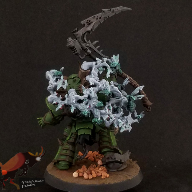 Typhus