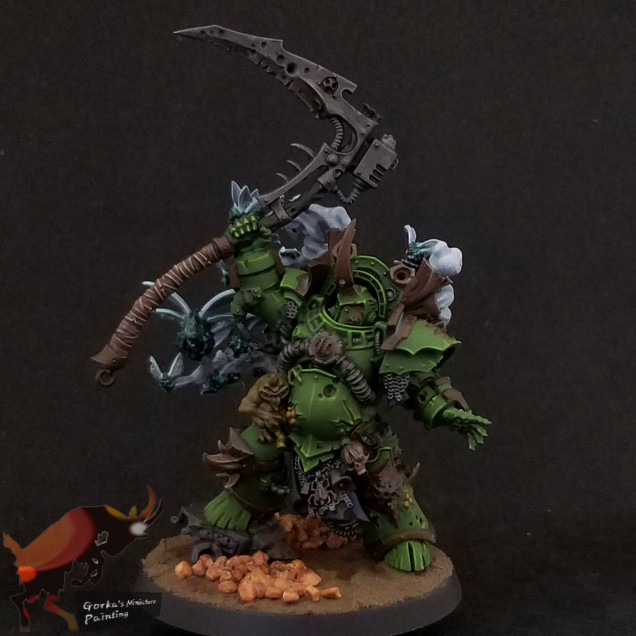 Typhus