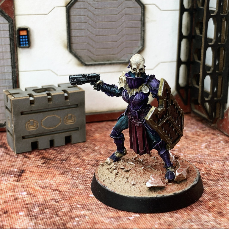 K’Vani from the K’Erin alien race. The model is a female marrow legionary from Westfalia with a weapon swap. Thanks Gerry for the suggestion - the model matches the artwork really well.