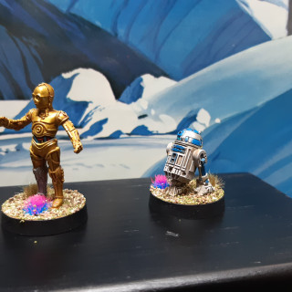 R2 - D2 and C-3PO