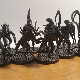 Xenomorphs