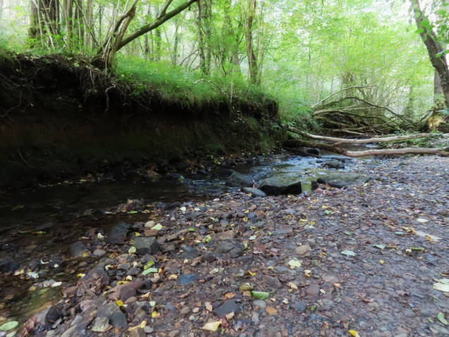 Stream and embankment 