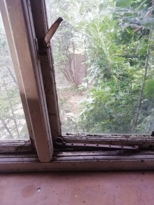 That's better. I then made the mistake of opening the window. The glass slid out the rotten frame and I had to struggle to close the window again. Looks like a new window is needed