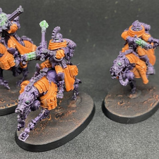 Serberys Raiders and and Serberys Sulphurhounds