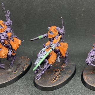 Serberys Raiders and and Serberys Sulphurhounds