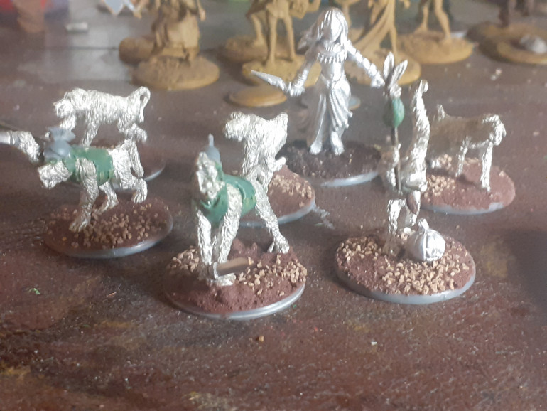 I have been working on these baboons tonight adding swords and helmets and sculpting on additional armour and shamanic accoutrements. In the back is a death cultist, model from Lucid Eye.