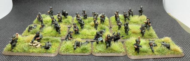 Tropic Lightning Rifle Platoon