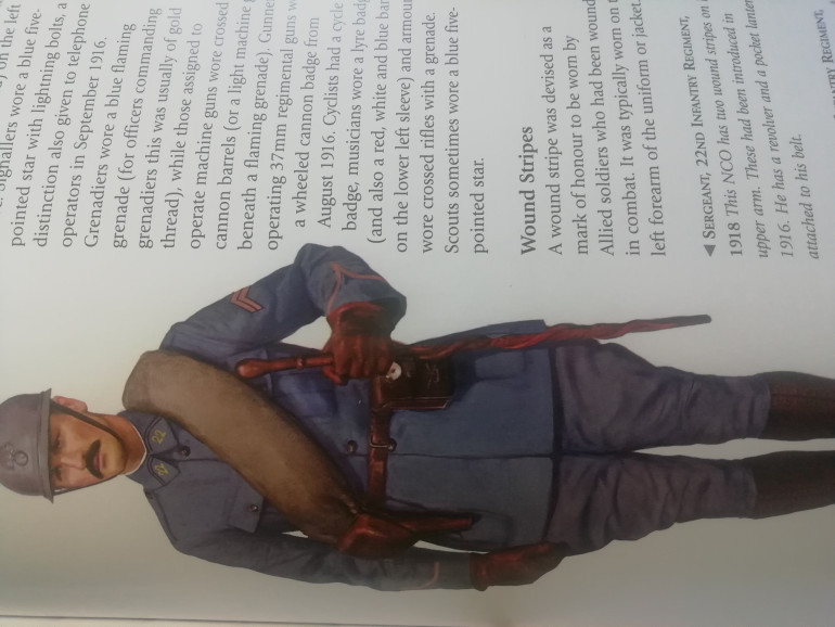 Sgt image that I'm using my officer models to to represent them