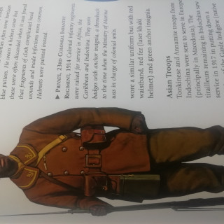 More research from my handy ww1 uniforms encyclopedia