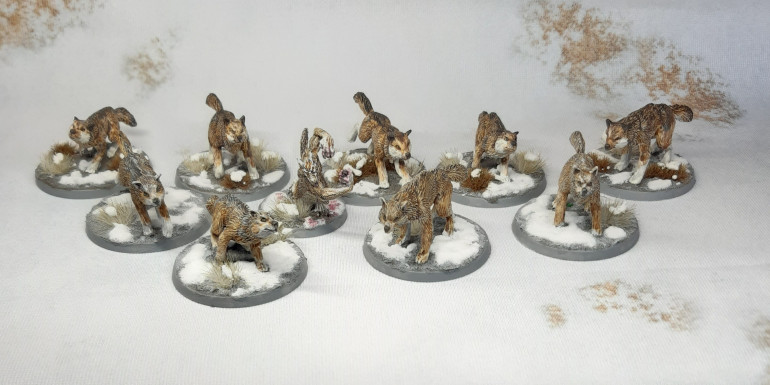 The full wolf pack out hunting stragglers from the Grand Armee with a werewolf leading the chase