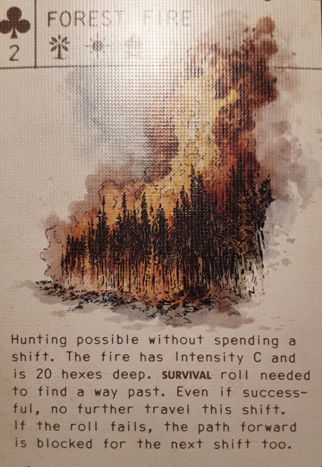 Forest fire