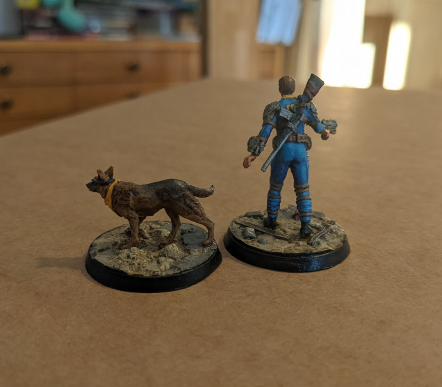 Sole Survivor & Dogmeat