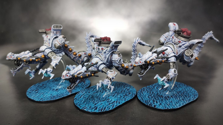 Tianlong battlefleet