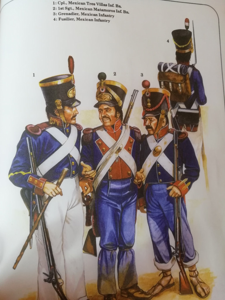 The Mexican army was no surprise modelled on the Spanish system they had inherited. Funny thing is most of the uniforms were made in the UK as well as the brown Bess muskets that were left overs from the Napoleonic wars some unfit for British service but ok to sell abroad. I did think about converting Napoleonic french minis but you don't get french troops in sandals.