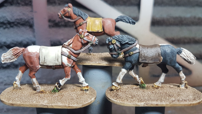 Roman Eques Horses.
