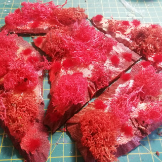 Red weed