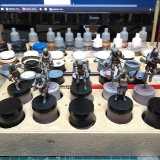 14 days later, 7 minis done