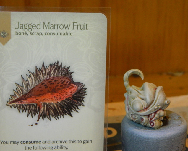 Jagged Marrow Fruit