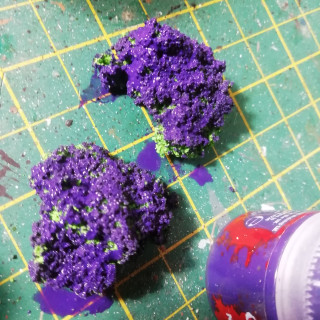 Reed weed with a hint of purple