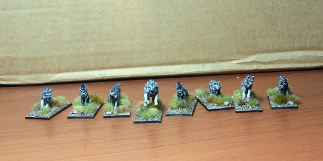 The first eight wolves- the larger one in the middle is the Alpha.