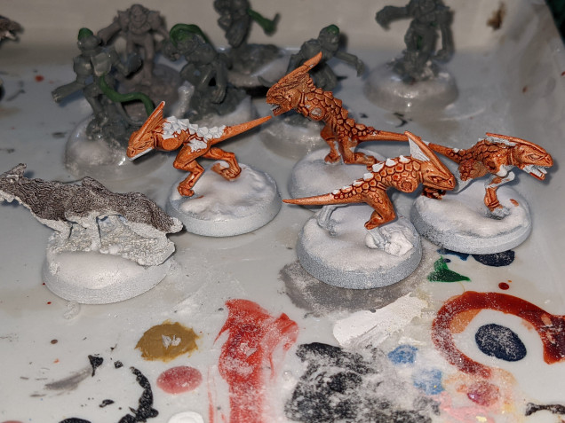 Not much today again, but some speedpaints. Going with creamsicle skinks for my primitives (maybe also for Warcry) and put some grey on a ferrox back. Lots of options to work on, but kinda undecided on which to do next...