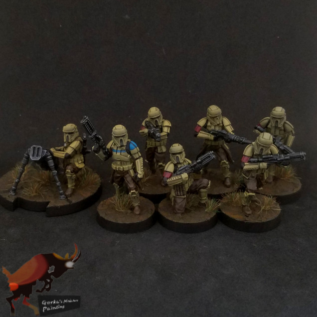 Shoretroopers