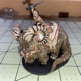 Bantha Rider