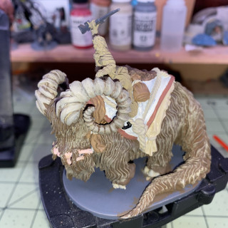 Bantha Rider