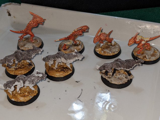 The OneThing strategy keeps me going today when I'm feeling kinda crap. It was just going to be drybrushing the bases in Skeleton Bone, but I came back later and did the Arid Earth and blackened the rims. Also did a little speedpainting on the ferrox wolf-fox dogs. The plan for these is to have different ears and sock colors for useful separation on the battlefield; black, grey, white and red. The near fellow will be the red, but letting the grey dry first.