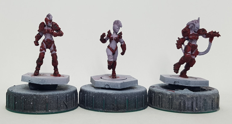 Two Kalyashi and their Star Player captain.  The red is based and washed and awaiting highlights.