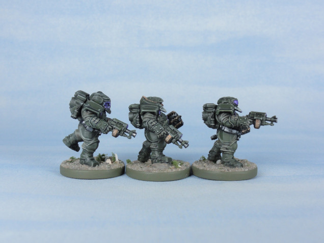 Steel Warrior Huscarls or squad leaders