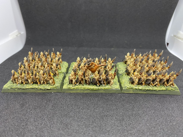 10mm Wood Elf Spearmen (80 points)