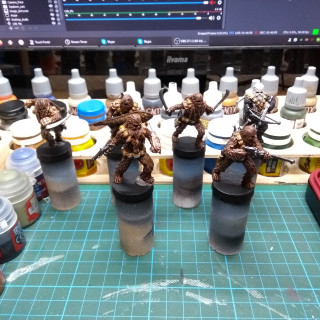 Wookie Warriors