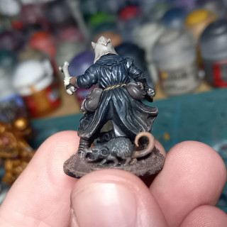 Final Miniature - The Occult Herbmaster