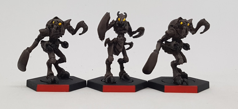 The newly finished Z'zor team